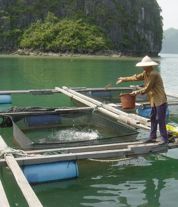 aquaculture1